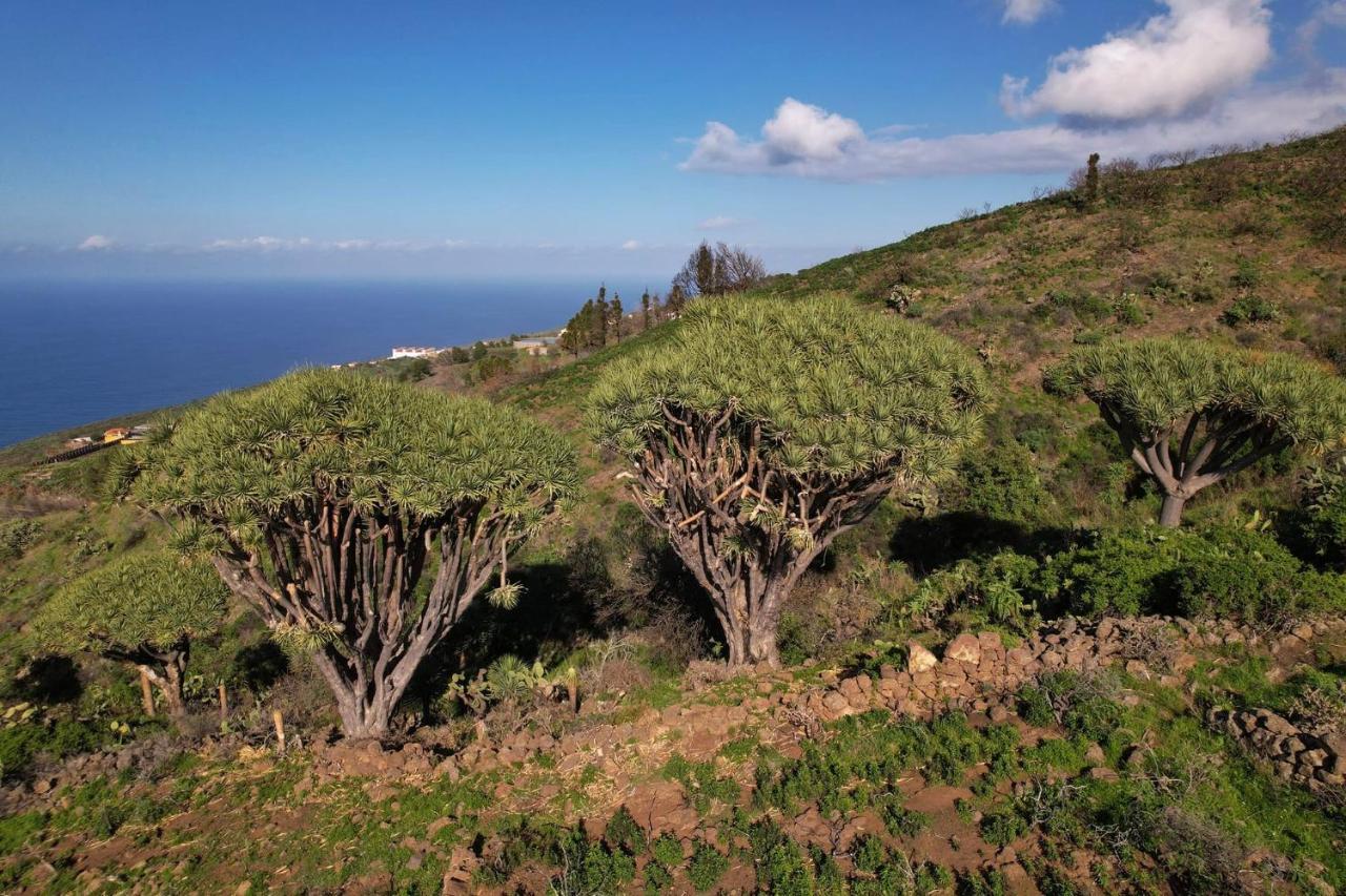 Casa Micaela Villa Garafia Luaran gambar